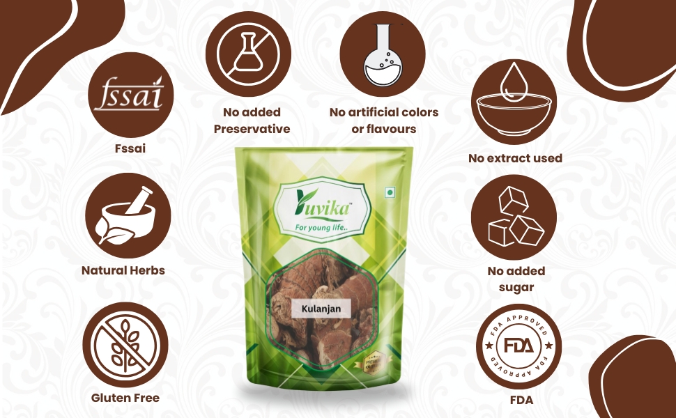 YUVIKA Kulanjan - Kulinjan - Paan Jadd - Siamese Ginger - Thai Ginger (400 Grams)