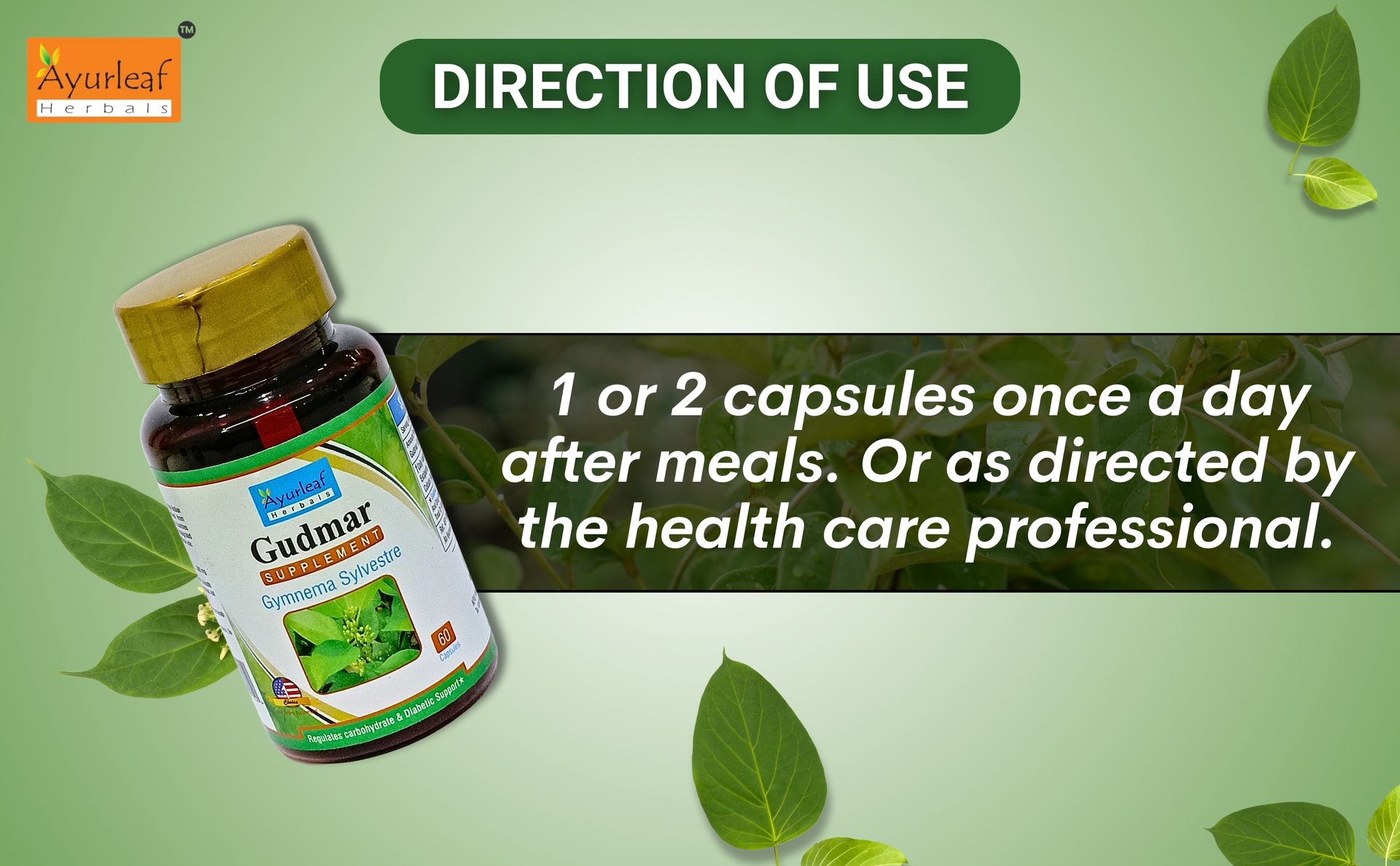 Ayurleaf Herbals Gudmar Capsules | For Endocrine Health & Blood Sugar Levels | 100% Natural, Ayurveda Herb, Dietary, Nutrition Supplements (Pack of 2, 120 Capsules)