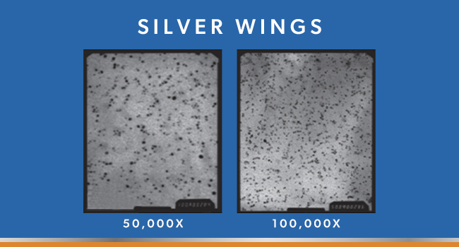 Natural Path Silver Wings Colloidal Silver 150ppm (750mcg) w/Olive Leaf - Immune Support Supplement - 1oz Spray
