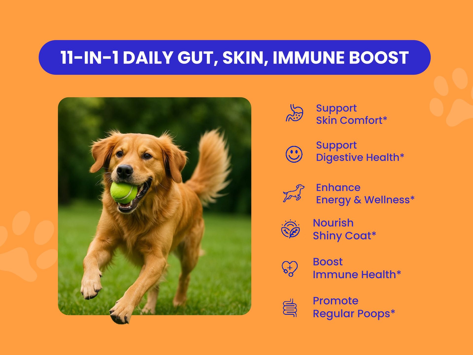 PETSAPIENS Pre + Probiotic Supplement for Dogs (120g) | 10B CFU | Boosts Gut Health & Immunity | Gluten-Free | Vet Formulated | Prevents Scratching, Paw-Licking & Indigestion | Chicken Flavour