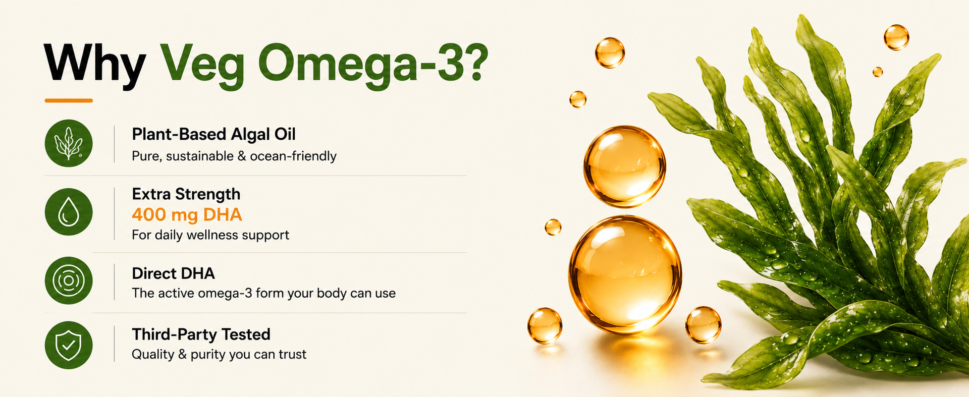 NaturePath Vegetarian Omega 3 | 1000mg Premium Algal Oil | 400mg DHA | Plant-Based Omega-3 Supplement | Supports Heart, Brain & Skin Health | 3rd Party Lab Tested | 50 Veg Capsules