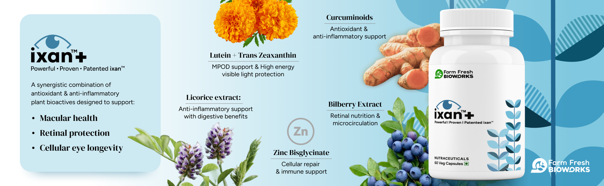ixan+ Eye Care Supplement I Clinically Validated Patented iXAN I Eye Wellness & Visual Comfort | Defense against Oxidative & Inflammatory Stress I Support for Normal Eye Function | Supports Retina and Macular Eye Health I Supports Visual Ease During Digital Device Use | With Curcuminoids, Lutein & Zeaxanthin I 60 Veg Capsules