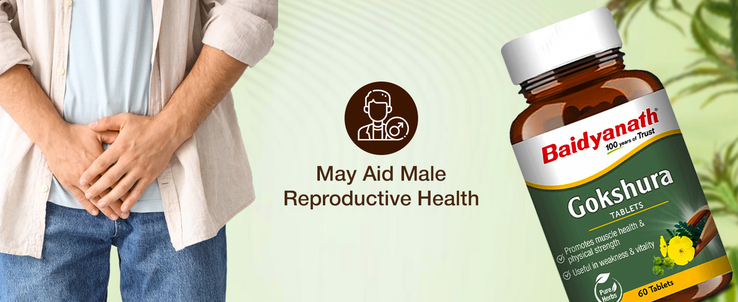 Baidyanath Ayurved Gokshura - 60 Tablets | Supports Strength & Vitality