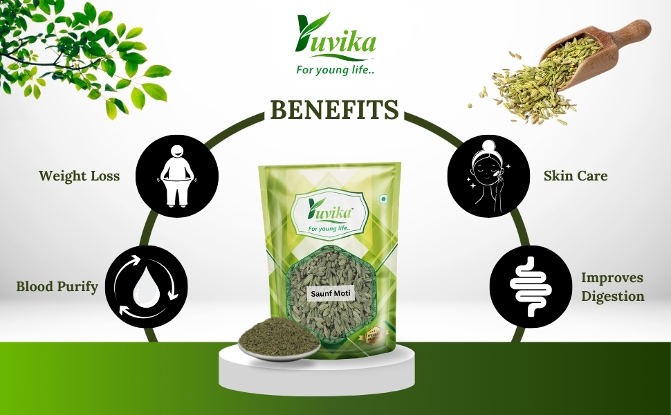 Yuvika Saunf Moti - Sonf Moti - Foeniculum Vulgare - Fennel Seed Big 100 Grams