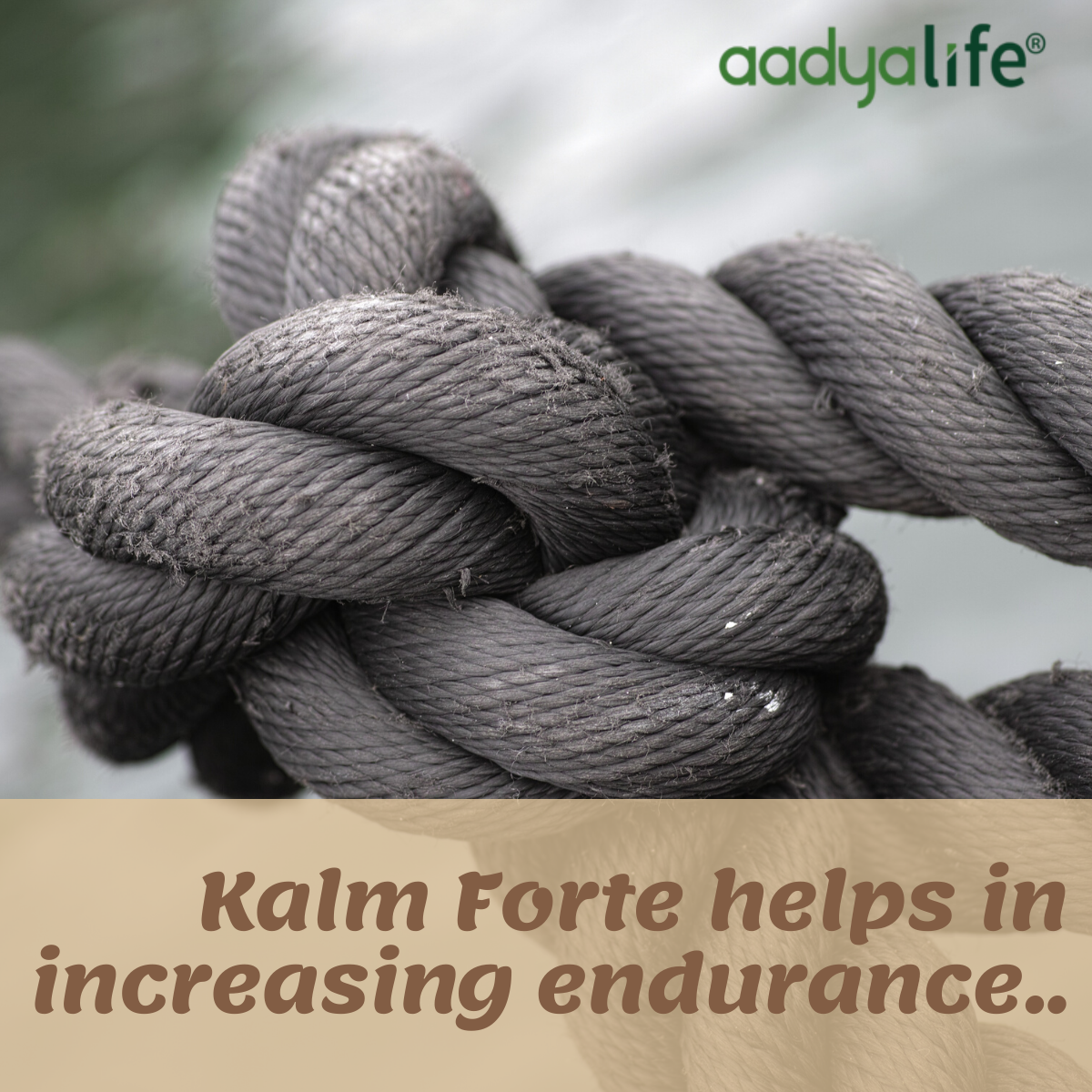 Kalm Fort – 60 Capsules- Pack of 2 (2x3x10)