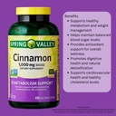 cinnamon-dietary-supplement-capsules-100-4.jpg