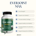 ever-joint-max-joint-support-supplement--3.jpg