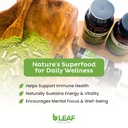 b-leaf-nature-moringa-capsules-organic-1-2.jpg
