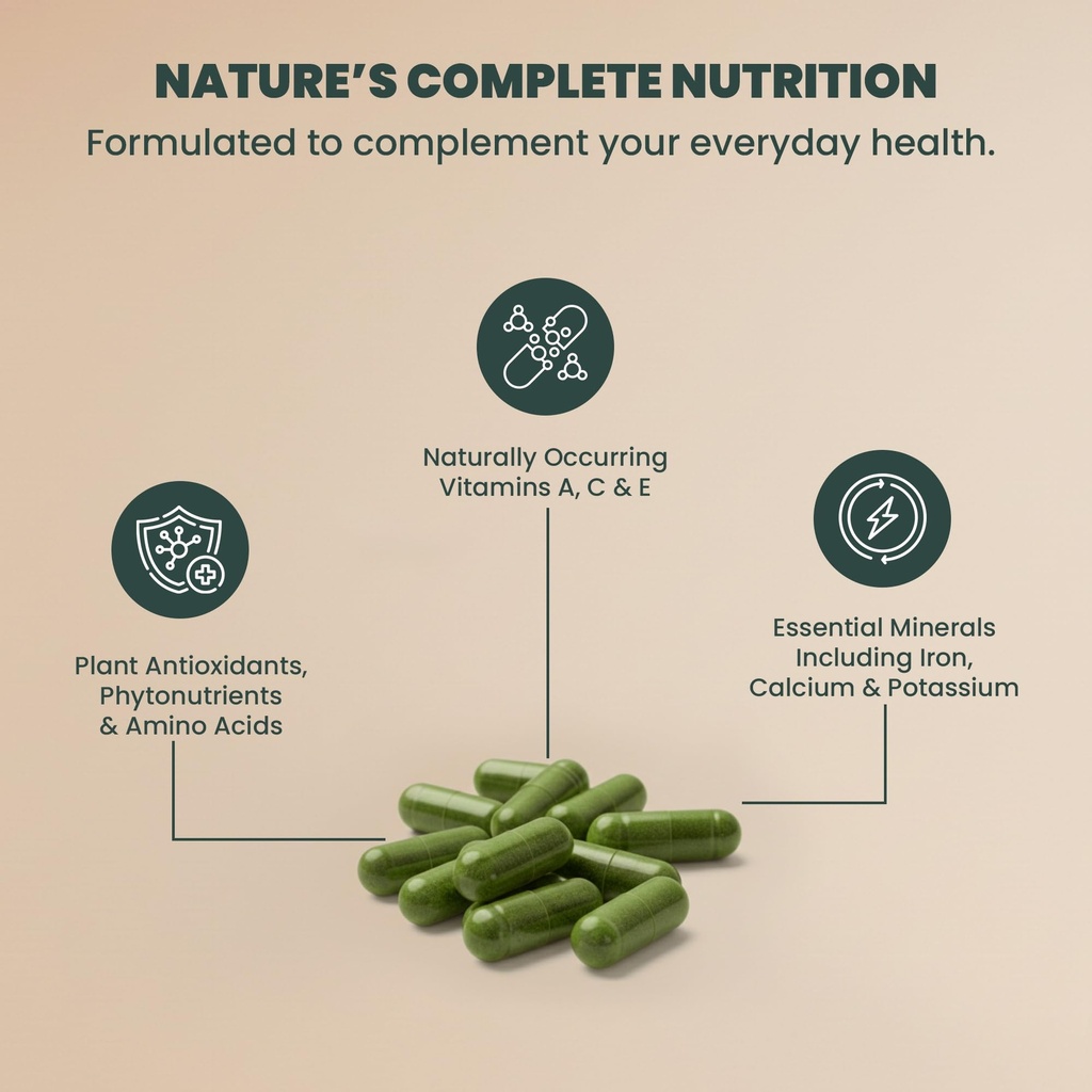 evara-moringa-powder-organic-capsules-50-5.jpg