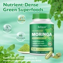 moringa-capsules-pure-moringa-leaf-powde-4.jpg