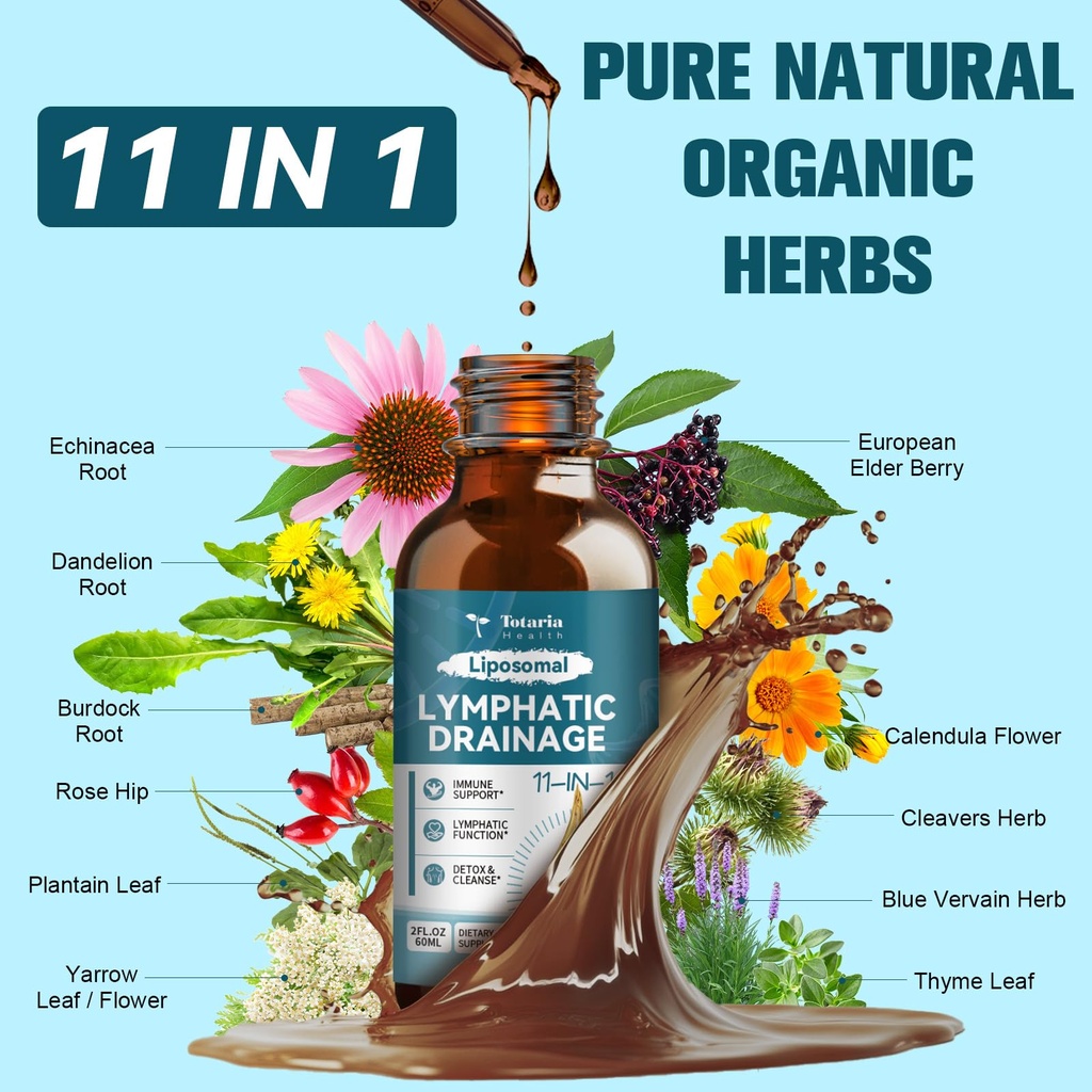 liposomal-lymphatic-drainage-drops-11-in-2.jpg