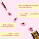 liposomal-lymphatic-drainage-drops-with--3.jpg
