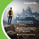 naturesplus-hema-plex-iron-60-slow-relea-3.jpg