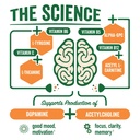 brainjuice-brain-support-shot-gluten-fre-4.jpg