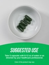 bulksupplements-com-chlorella-capsules-b-4.jpg