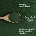 organic-traditions-chlorella-powder-brok-6.jpg