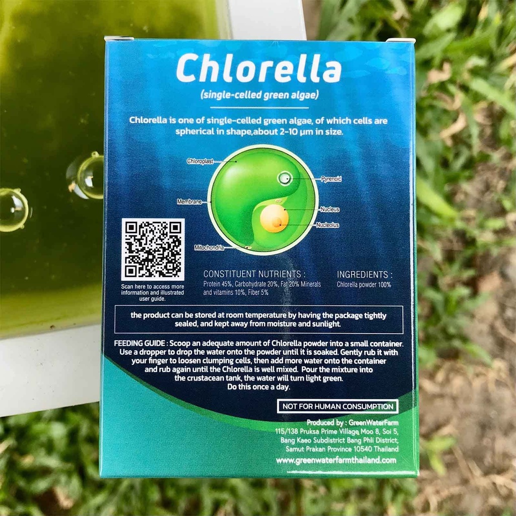 green-water-farm-concentrated-chlorella--2.jpg