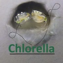 green-water-farm-concentrated-chlorella--5.jpg