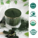 chlorella-spirulina-powder-organic-super-5.jpg