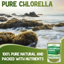 xprs-nutra-chlorella-powder-broken-cell--3.jpg