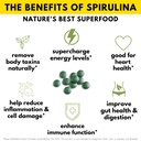sunlit-best-ultimate-chlorella-spirulina-3.jpg