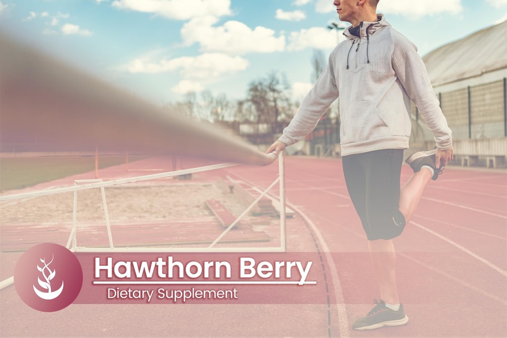pure-original-ingredients-hawthorn-berry-5.jpg