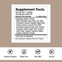 dr-schulze-s-intestinal-formula-1-bowel--2.jpg