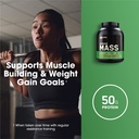 optimum-nutrition-serious-mass-weight-ga-5.jpg