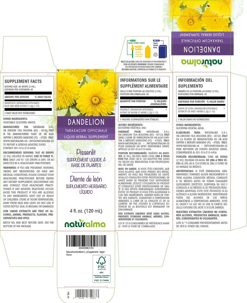 naturalma-dandelion-taraxacum-officinale-2.jpg