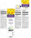 naturalma-dandelion-taraxacum-officinale-2.jpg