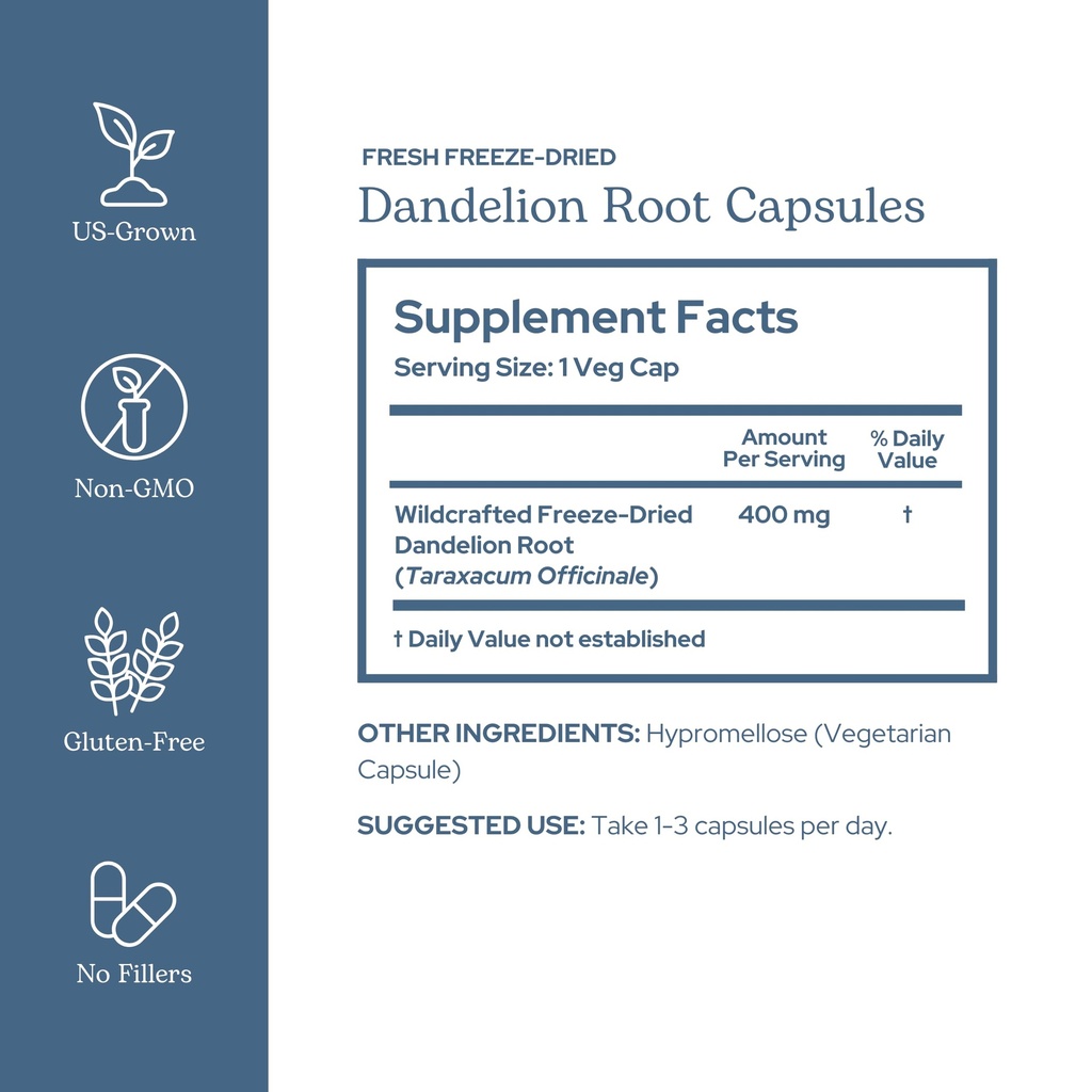 eclectic-herb-dandelion-root-supports-th-2.jpg