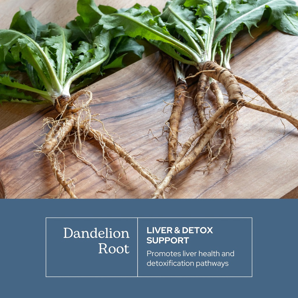 eclectic-herb-dandelion-root-supports-th-3.jpg