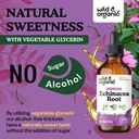 wild-organic-echinacea-drops-immune-lymp-6.jpg