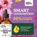 wild-organic-echinacea-drops-immune-lymp-4.jpg