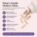 align-shine-postnatal-vitamins-for-women-4.jpg