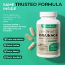 lymphatic-drainage-supplements-natural-h-2.jpg