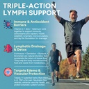 totaria-lymphatic-drainage-reduce-lymph--6.jpg