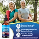 jb-wellness-co-lymphatic-drainage-supple-4.jpg