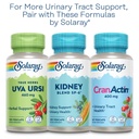 solaray-nettle-leaf-450mg-healthy-kidney-6.jpg