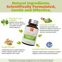 bellecare-turmeric-curcumin-capsules-psy-5.jpg