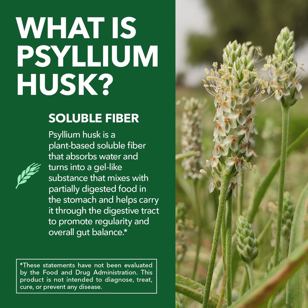 psyllium-husk-capsules-1500mg-per-servin-5.jpg