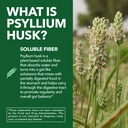 psyllium-husk-capsules-1500mg-per-servin-5.jpg