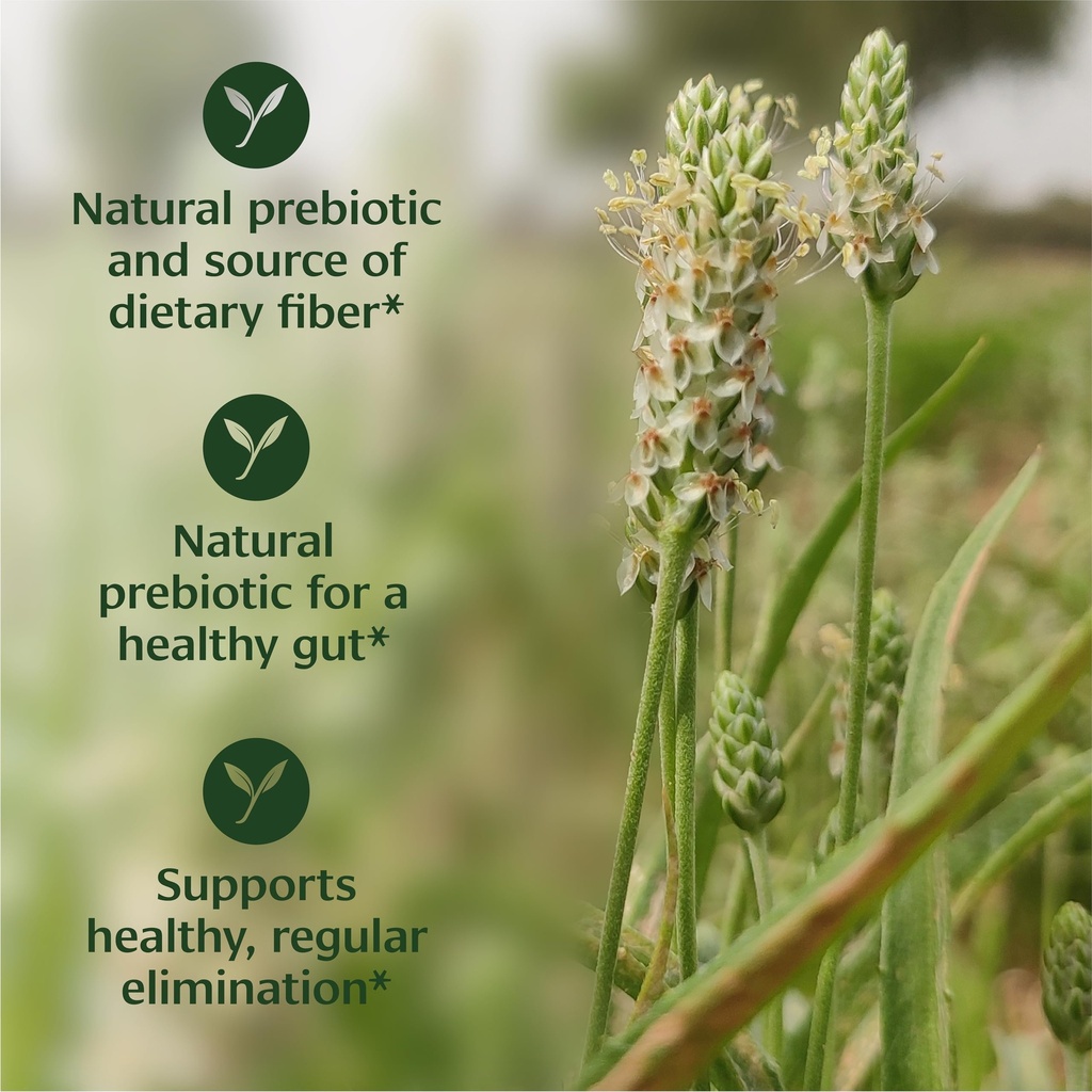 banyan-botanicals-psyllium-husk-organic--2.jpg