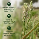 banyan-botanicals-psyllium-husk-organic--2.jpg