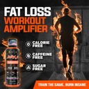 alpha-lion-burn2o-l-carnitine-liquid-200-6.jpg