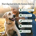 other-half-everyday-dog-multivitamin-sup-3.jpg