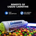 evogen-carnigen-premium-l-carnitine-liqu-5.jpg
