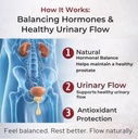 restflow-pro-advanced-prostate-support-s-5.jpg