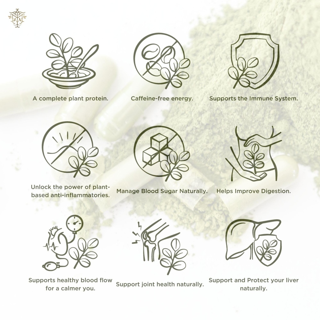 premium-organic-moringa-oleifera-leaf-po-6.jpg