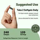 micro-ingredients-moringa-leaf-extract-5-3.jpg